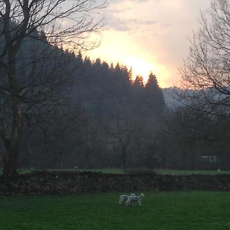Tyddyn Bach Barn Villa Betws-y-Coed Cameră foto